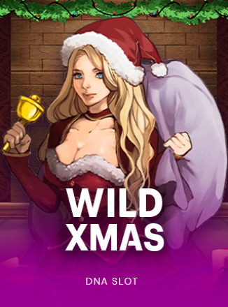 โลโก้เกม Wild Xmas