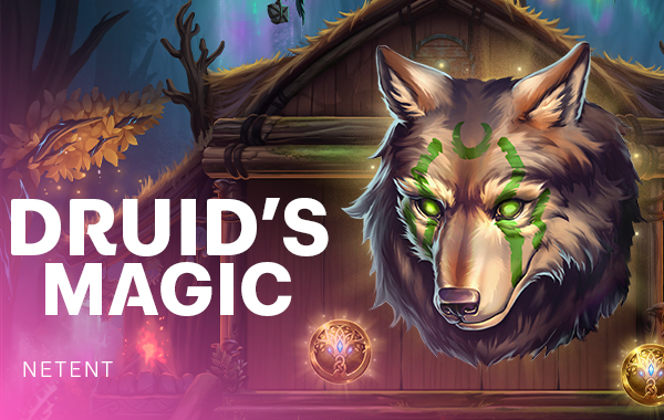 รูปเกม Druid’s Magic - เวทมนตร์ของดรูอิด