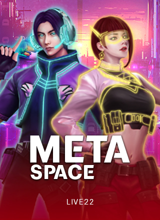 โลโก้เกม Meta Space
