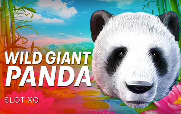 รูปเกม Wild Giant Panda - แพนด้ายักษ์ป่า