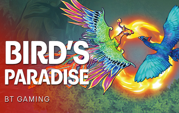 โลโก้เกม Bird's Paradise