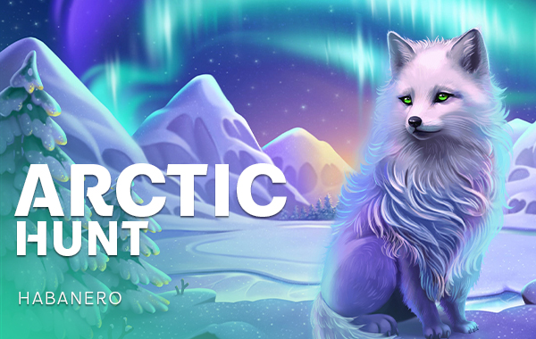 รูปเกม Arctic Hunt - อาร์กติกฮันท์