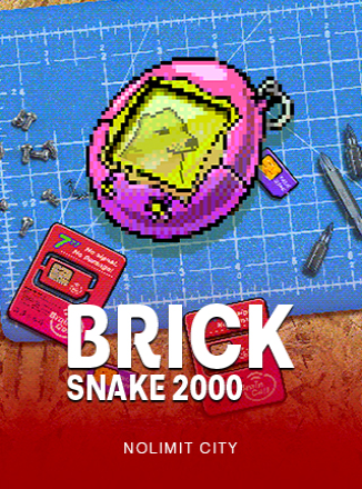 โลโก้เกม Brick Snake 2000