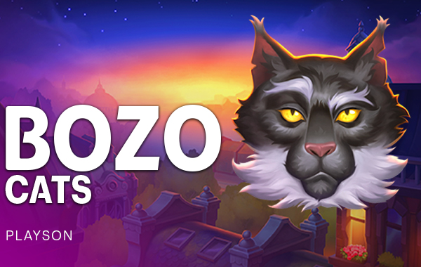 รูปเกม Bozo Cats - แมวโบโซ